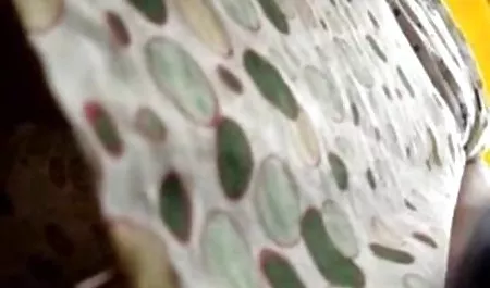 هنتاي أمي مرة أخرى ، ثم يستخدم لعبة تحميل مقاطع سكس مصرى ويهز