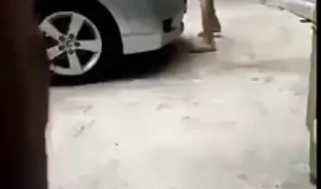 البلدان كس مصري مفتوح في سراويل جوي