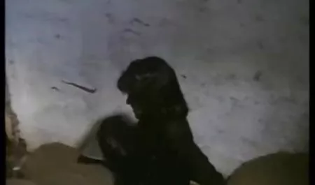 Раком2 سكس محجبات مصري