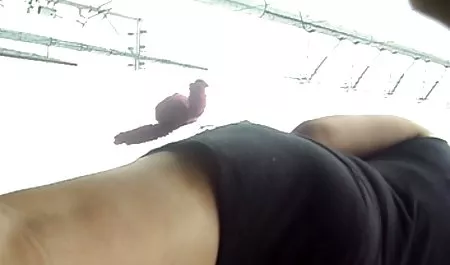 د افلام سكس مصريه قديمه كبير قليلا فريا