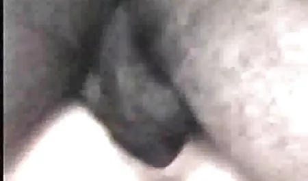 الكرتون التكامل عالية. الجزء 2 ز سكس مصري مصري