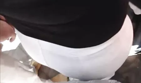 كلبي سككس مصرى زر تايلور