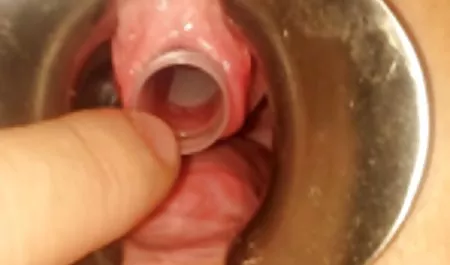 نينا xnxx مصرى ساخن هارتلي أمي
